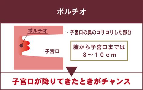 ポルチオ 意味|ポルチオを開発するコツ6選！場所と刺激する注意 .